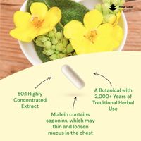 New Leaf Mullein Leaf Capsules